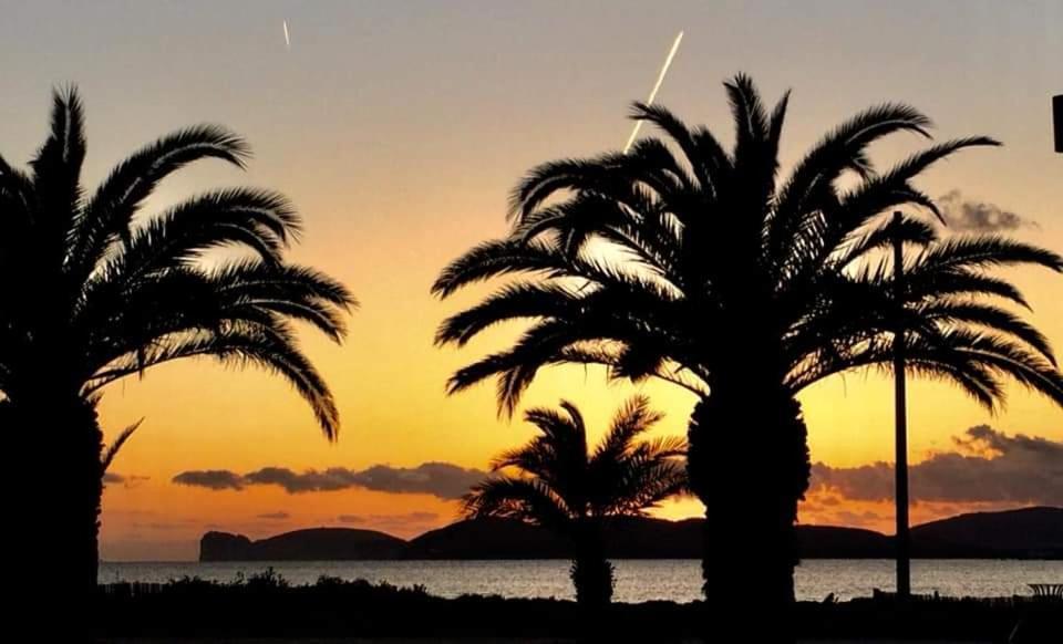 Reina 2* Alghero